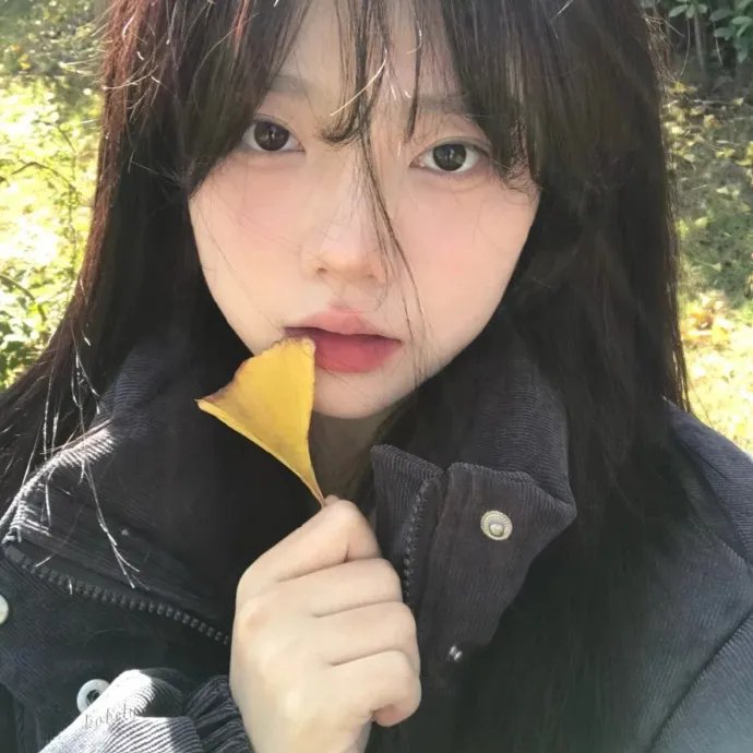 傻瓜回忆录